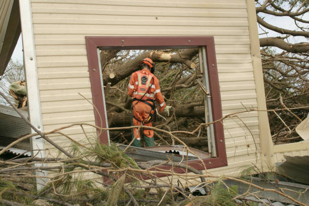 Best Emergency Tree Removal  in Farmington, NM